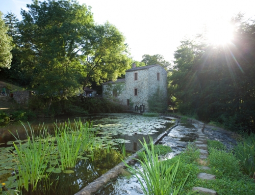 Maison de la Rivière